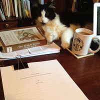 Dissertation and cat